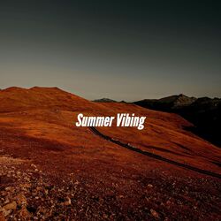 Cover of Summer Vibing