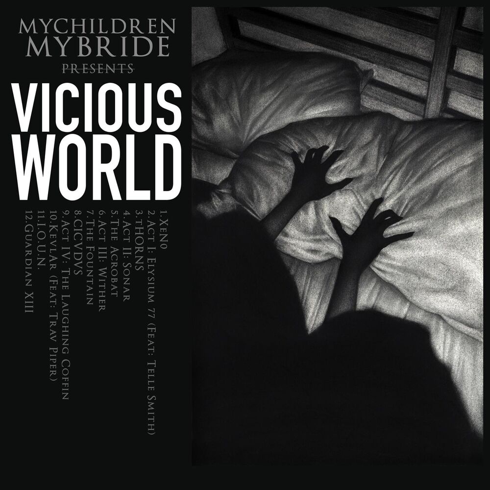 Picture of Vicious World
