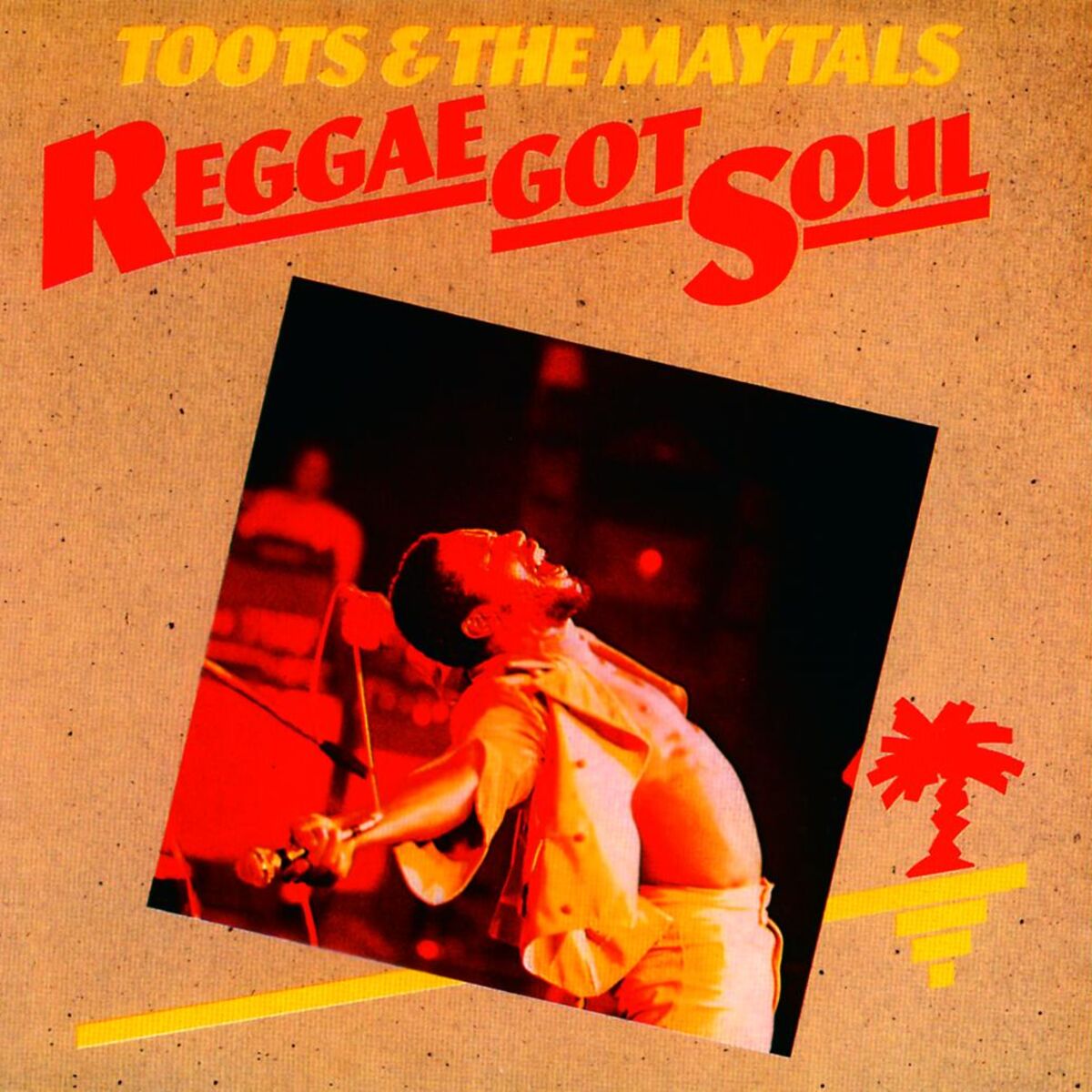 Album cover of Reggae Got Soul