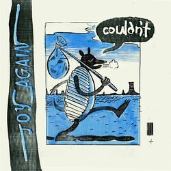 Cover of Couldn't