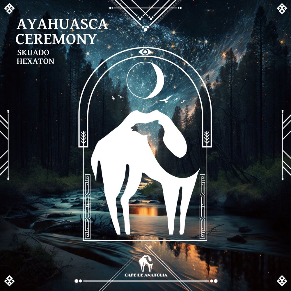Picture of Ayahuasca Ceremony