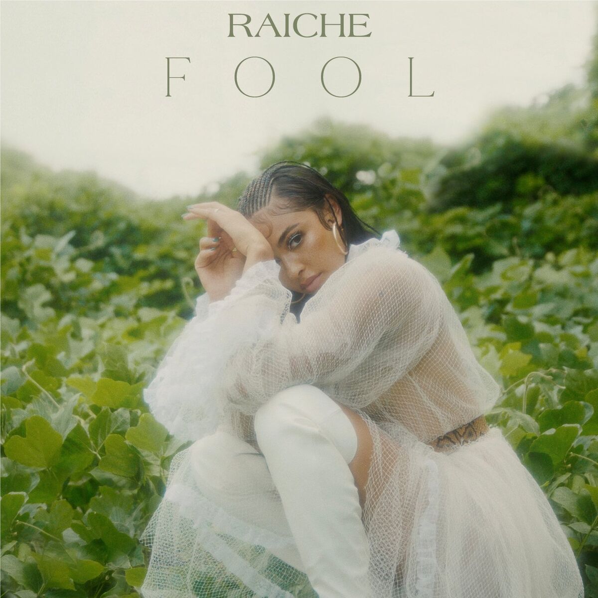 Album cover of Fool