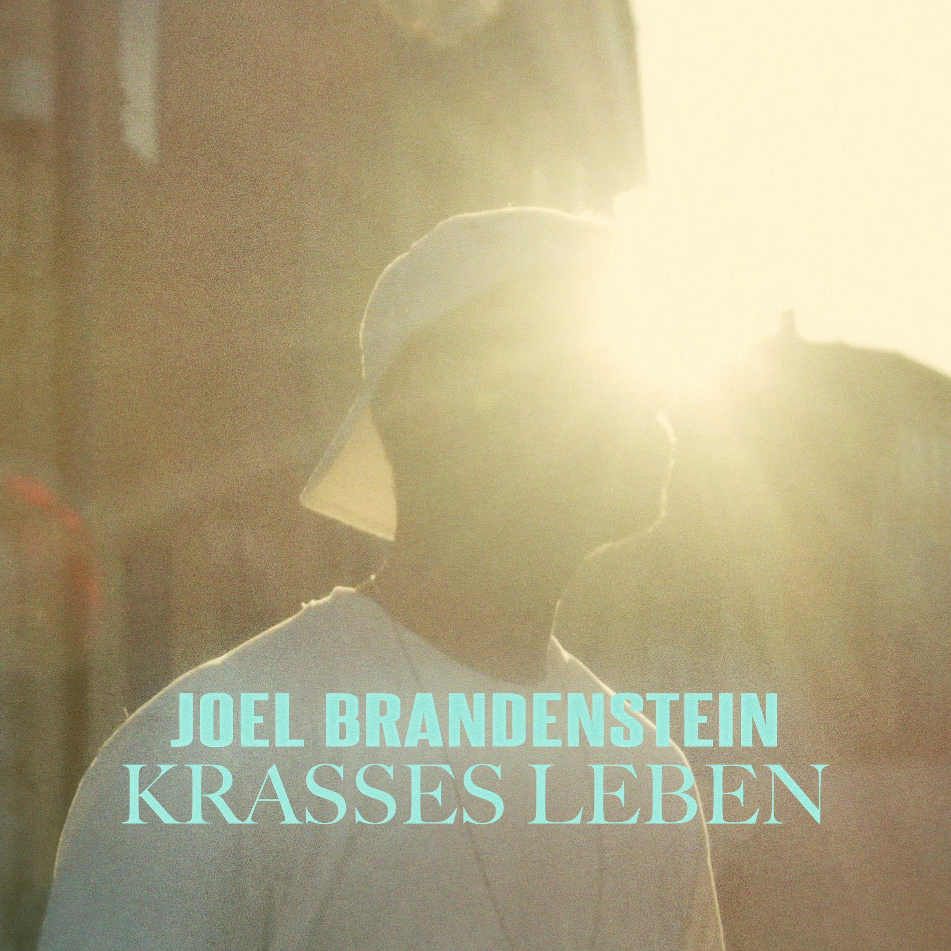 Album cover of Krasses Leben