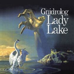 music cover