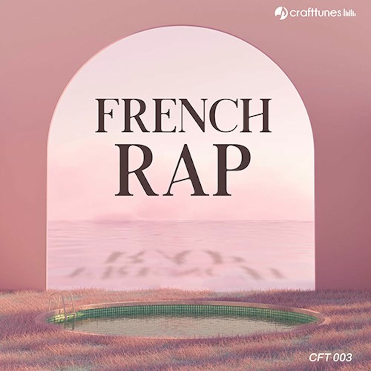 Album cover of French Rap