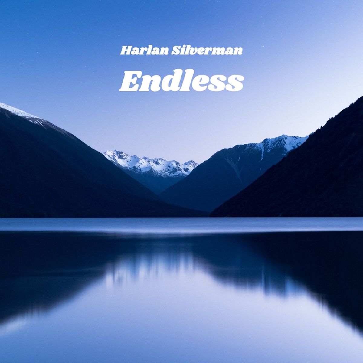 Album cover of Endless