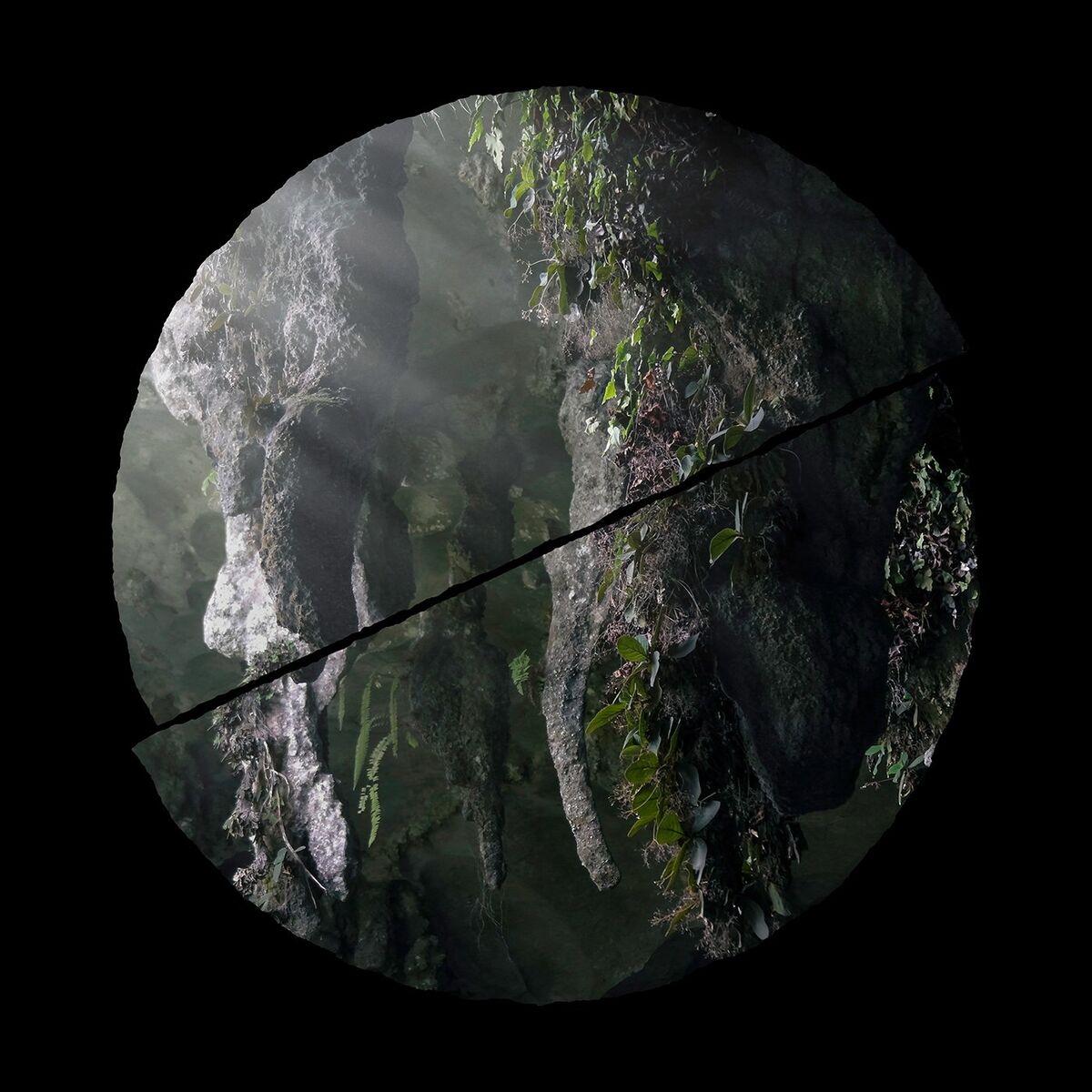 Album cover of Winged Chamber Music