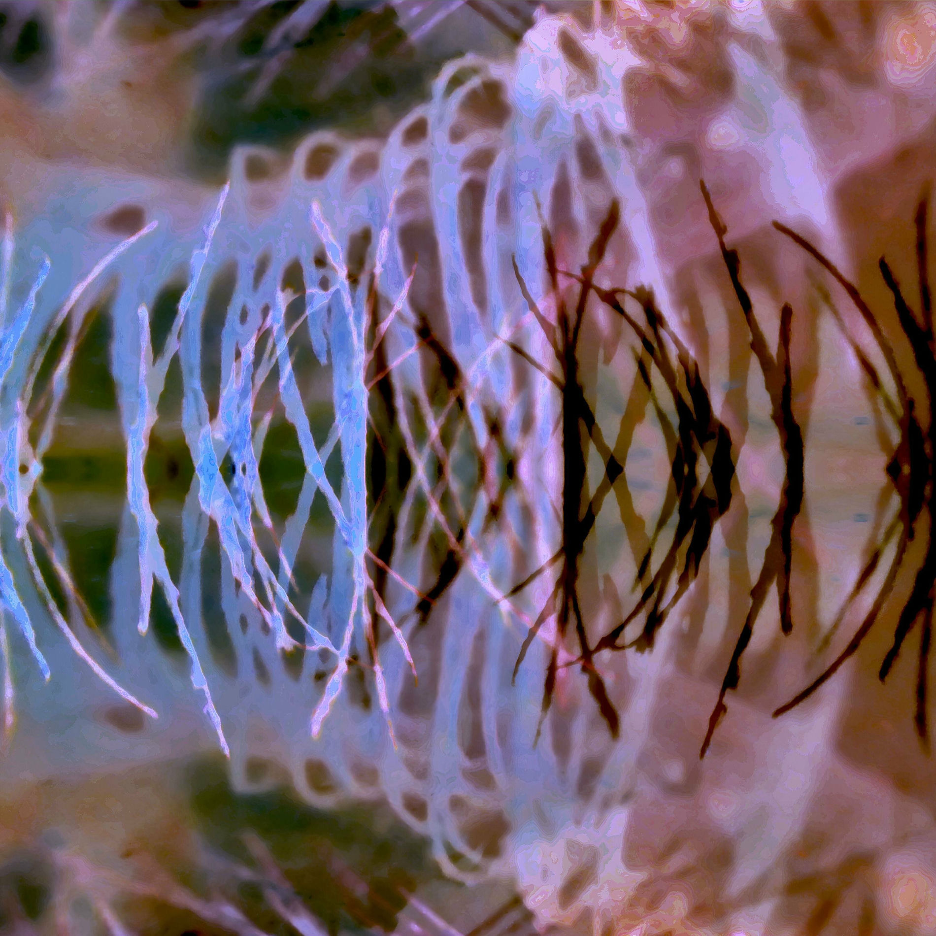 Album cover of Morast