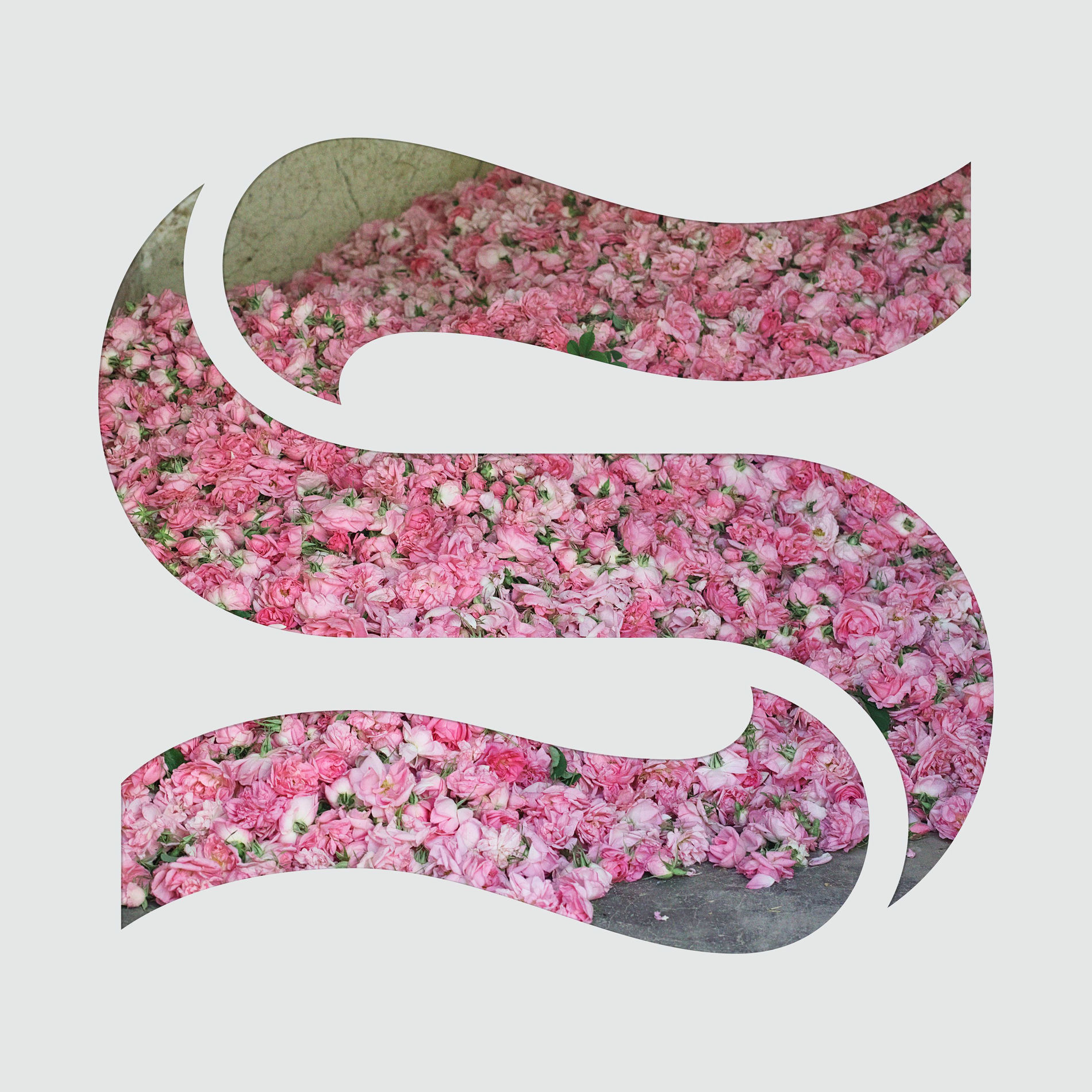 Album cover of Step By Step EP