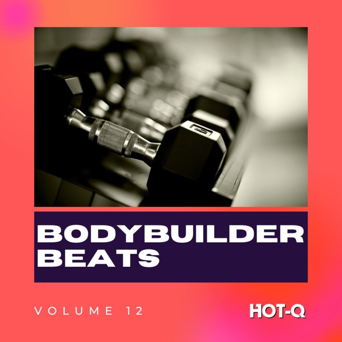 Album cover of Bodybuilder Beats 012