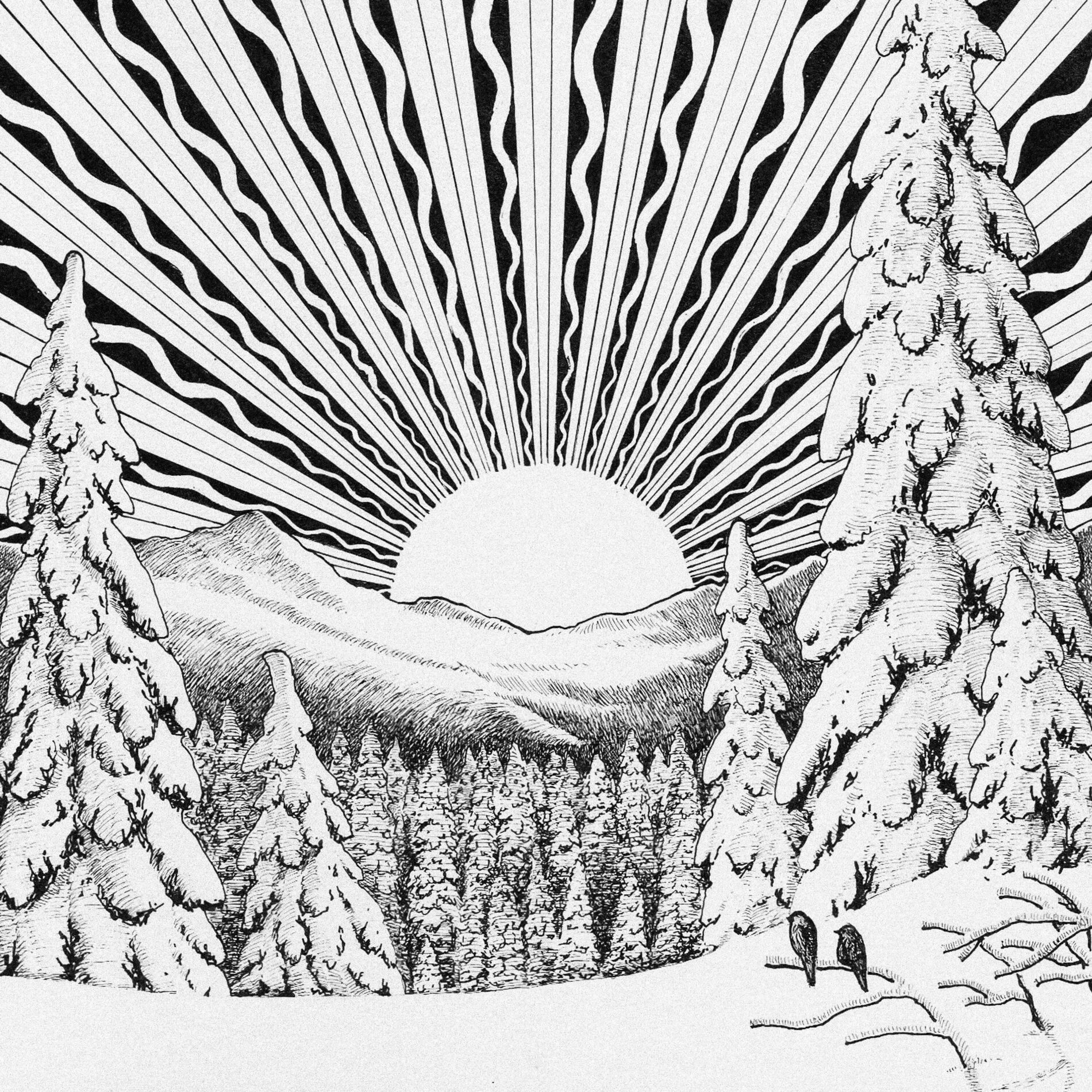 Album cover of Winter Sun