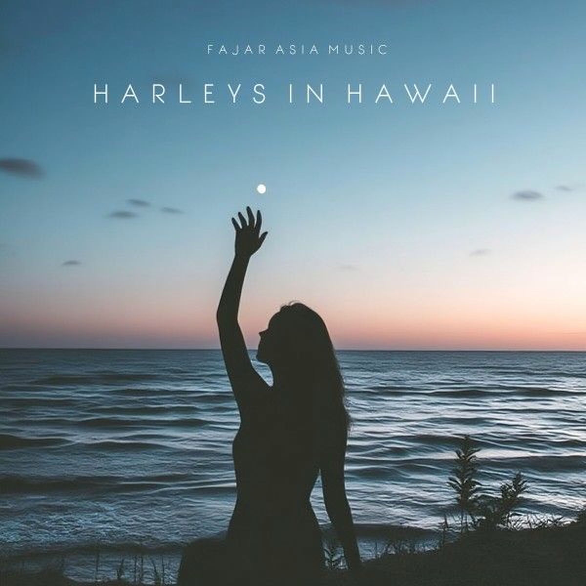 Album cover of Harleys in Hawaii