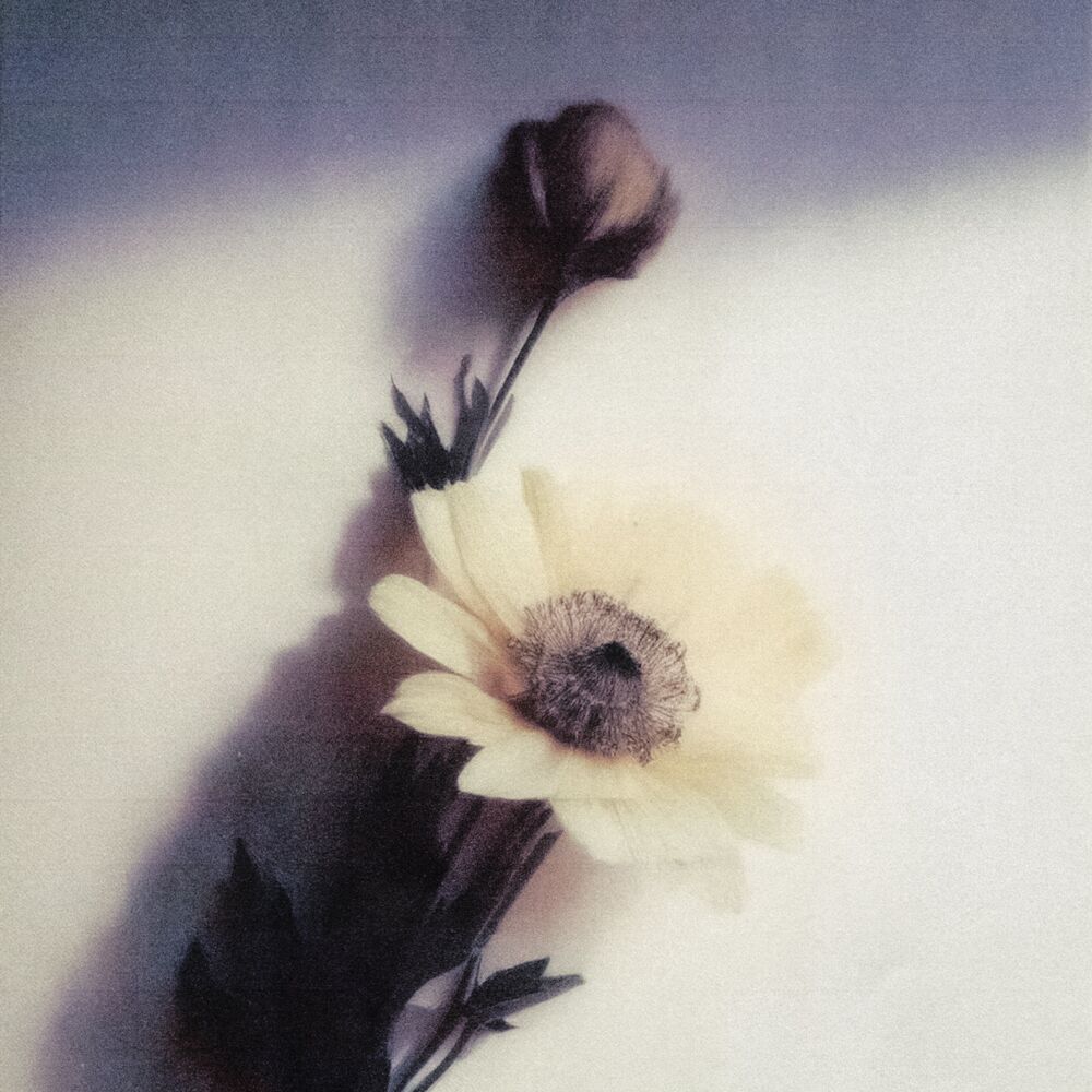 Picture of Bouquet