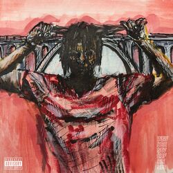 Cover of Human Bridge