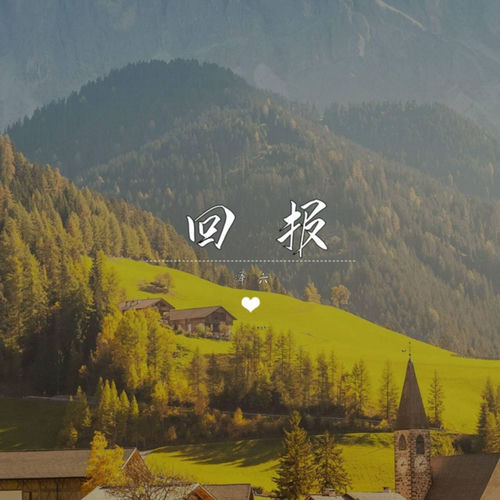 回报