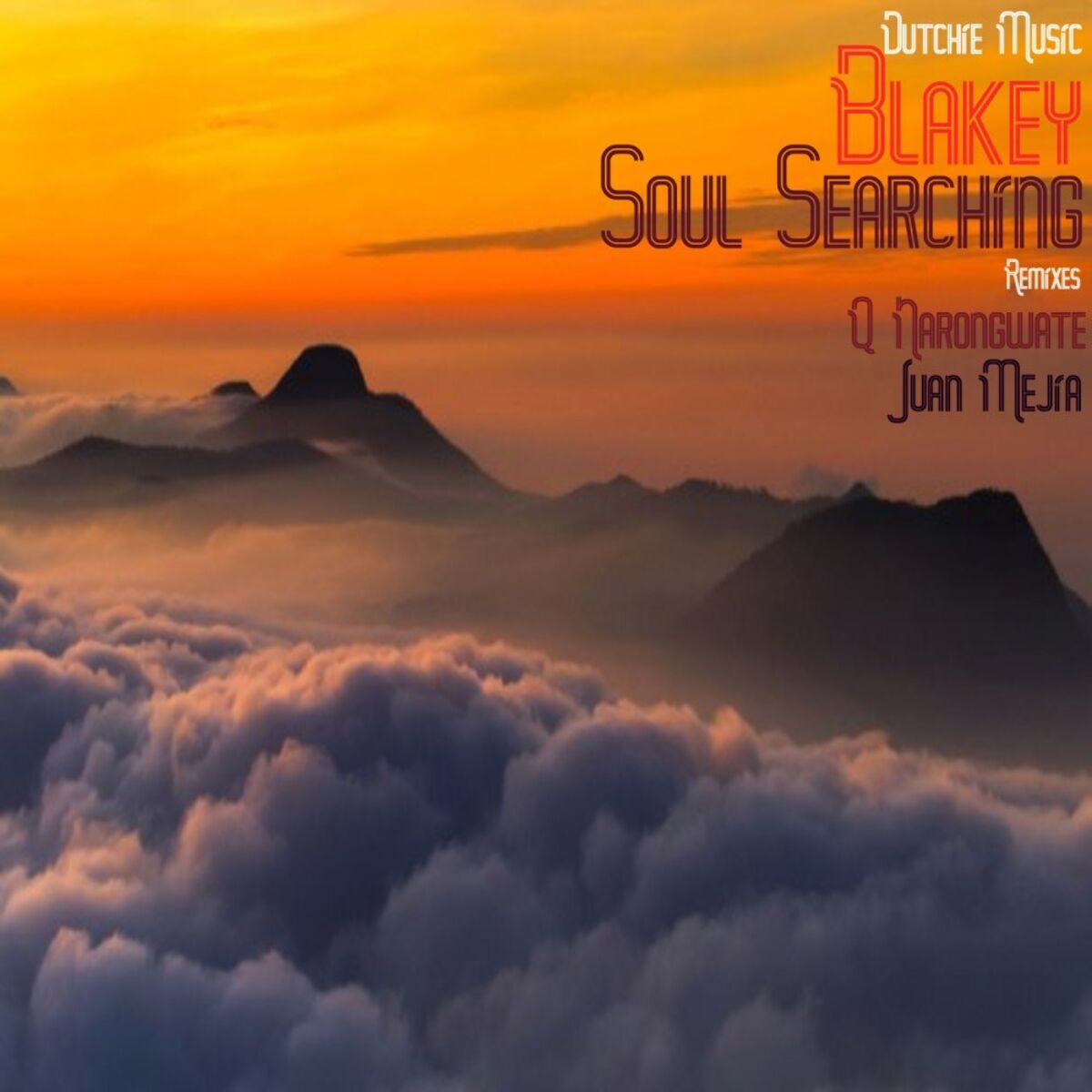 Album cover of Soul Searching
