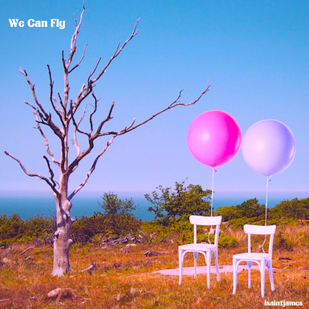 Picture of We Can Fly