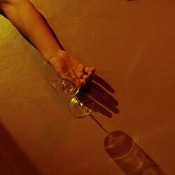 Cover of Forbidden Cup