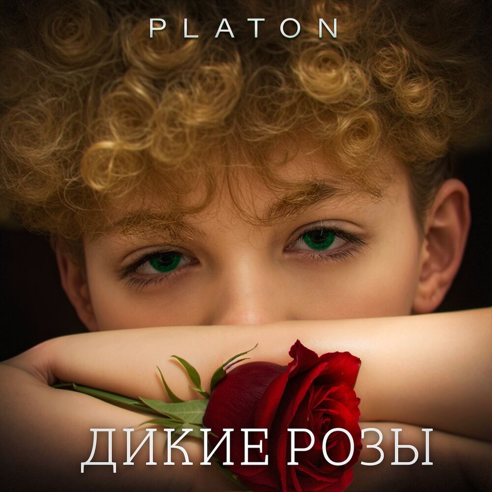 Picture of ДИКИЕ РОЗЫ