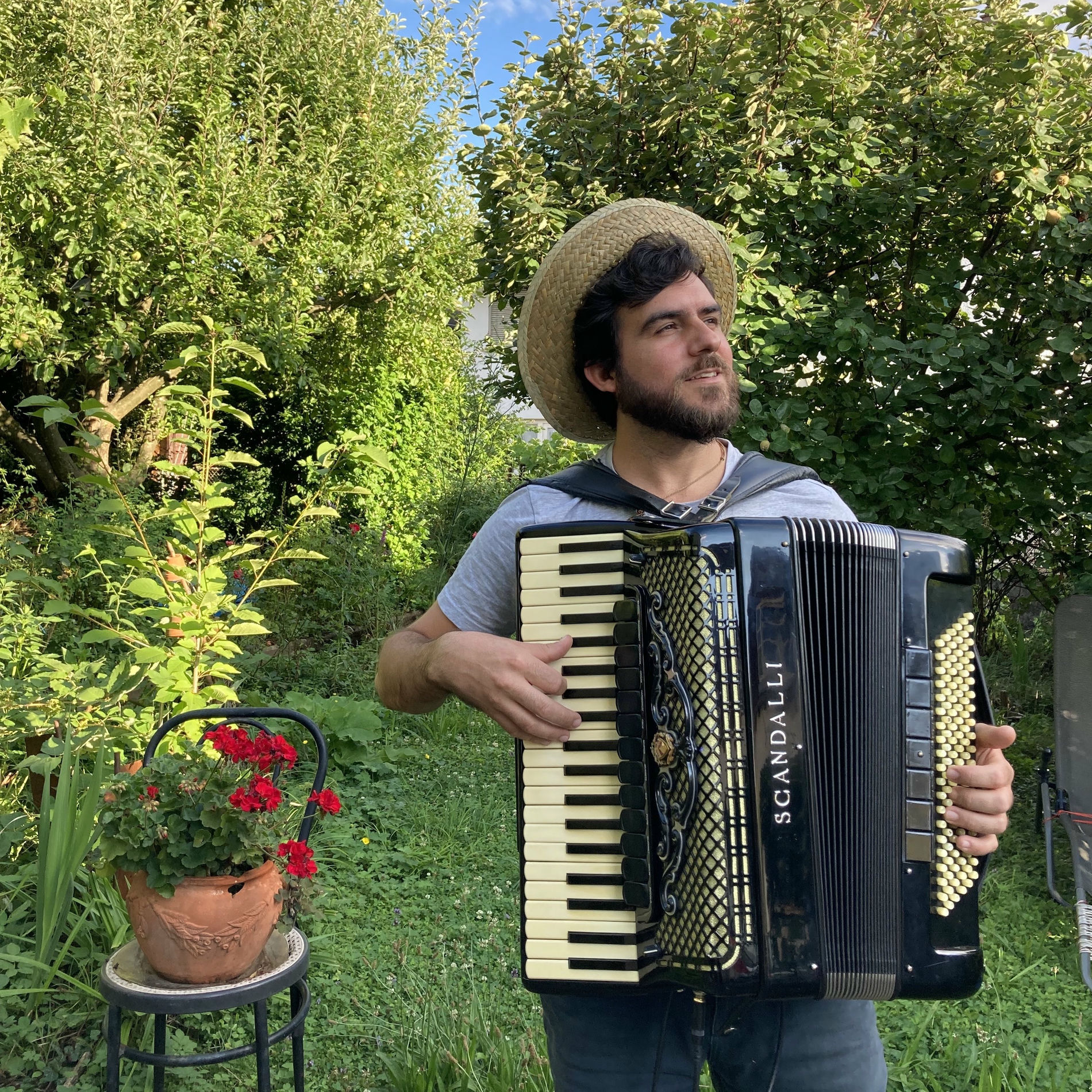 Album cover of Forró na Primavera