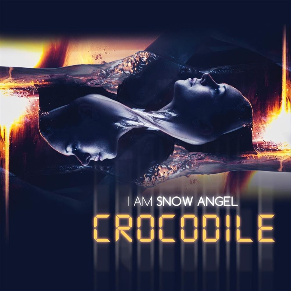 Picture of Crocodile