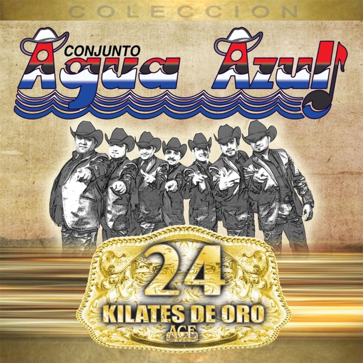 Album cover of 24 Kilates de Oro