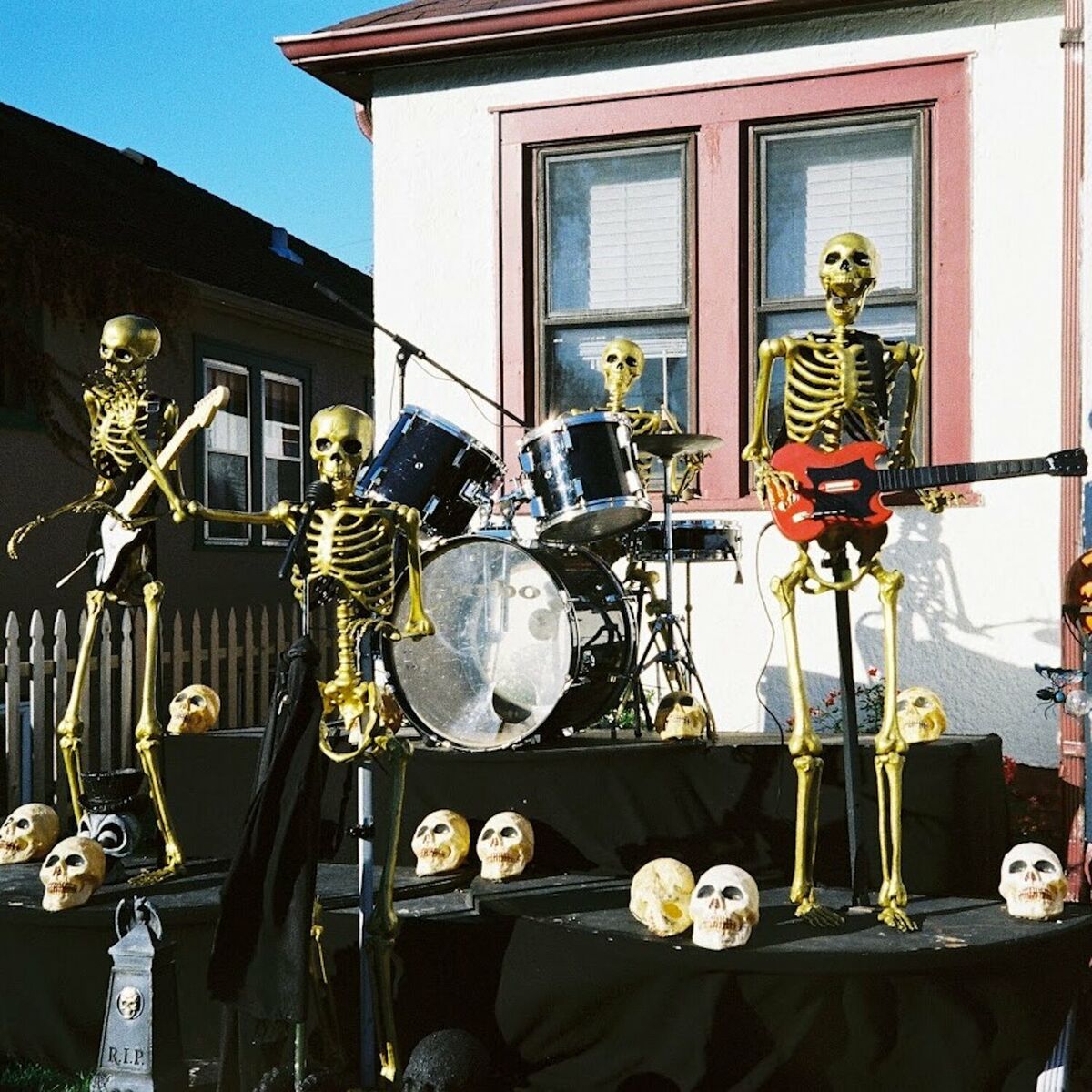 Album cover of life till bones