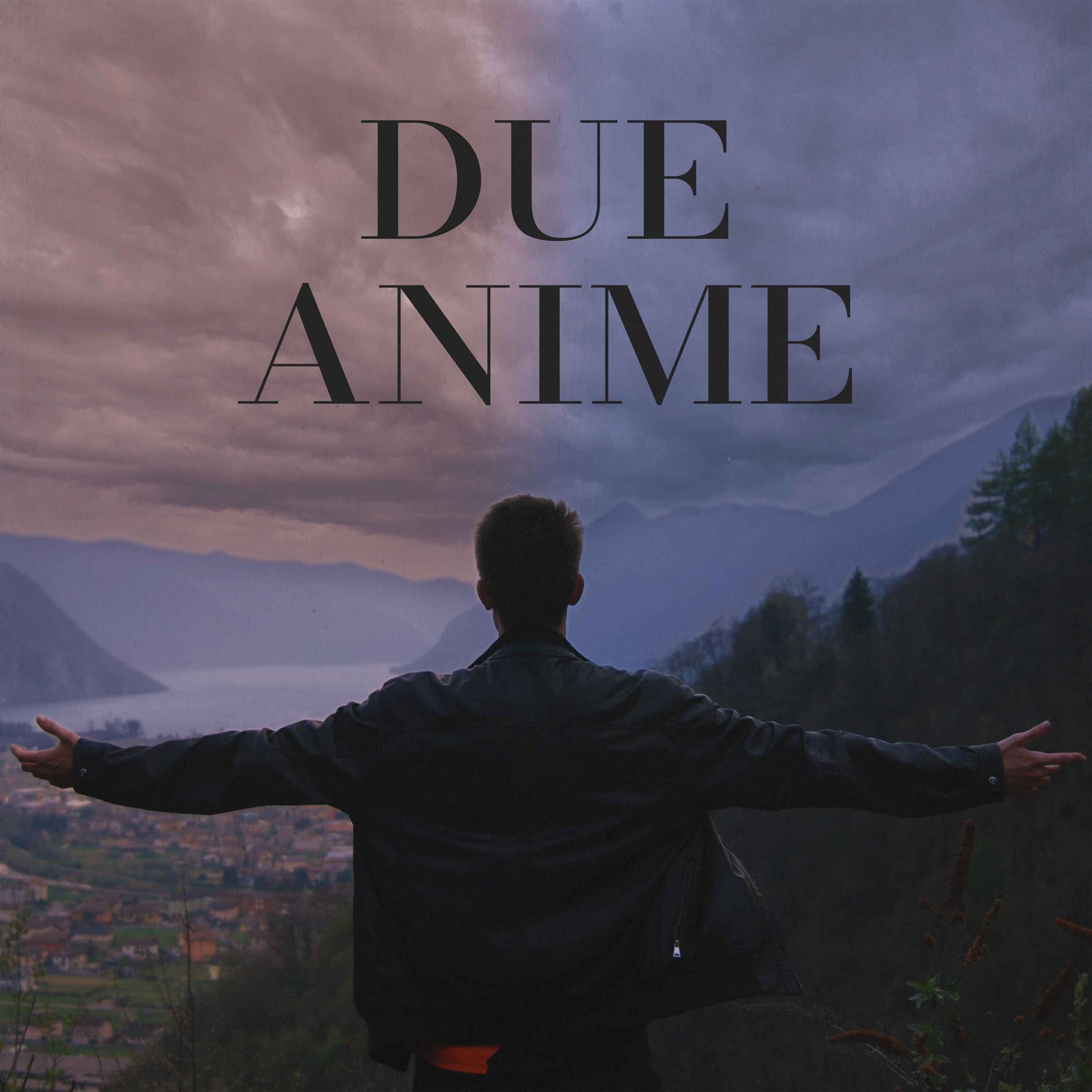 Album cover of Due Anime