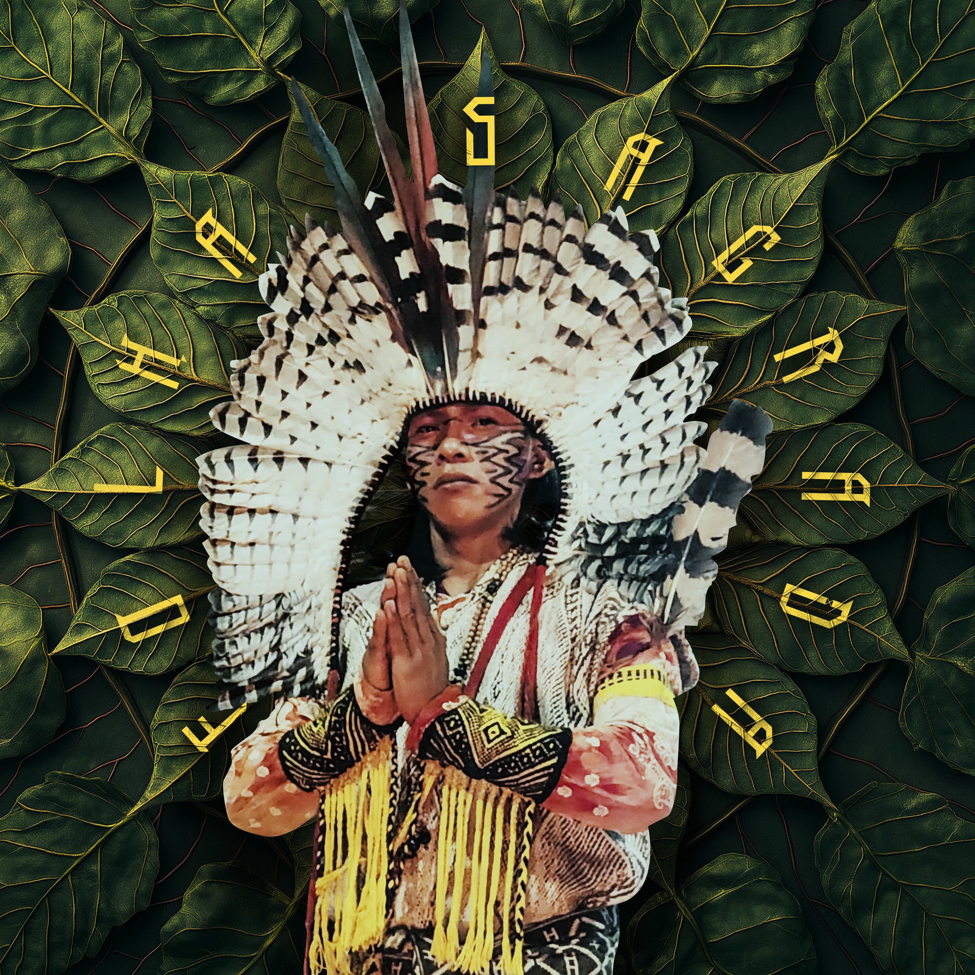 Album cover of Folha Sagrada
