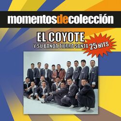 Cover of Momentos De Coleccion