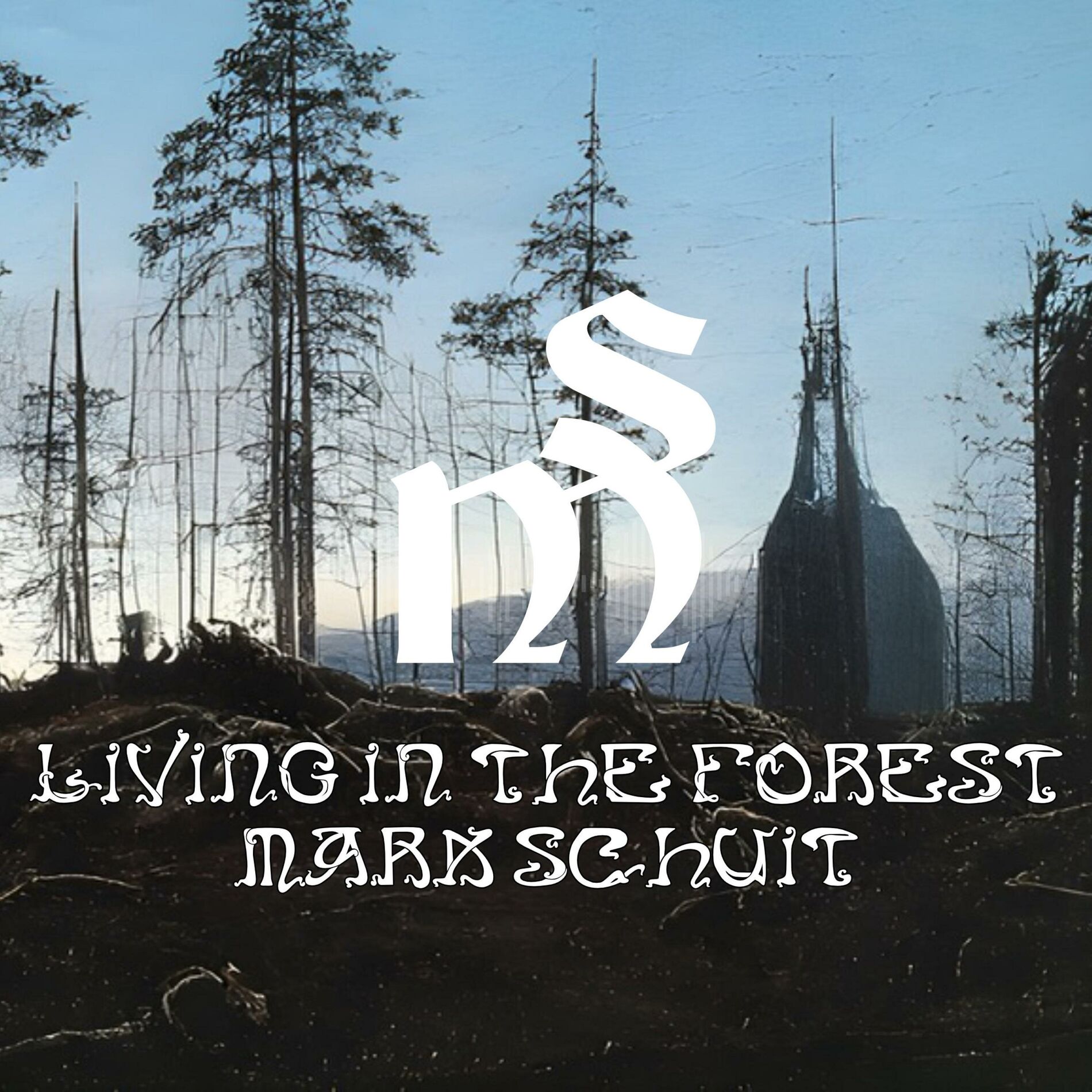 Album cover of Living In The Forest