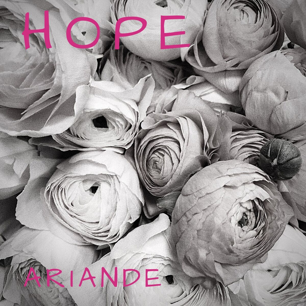 Album picture of Hope