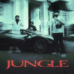 Cover of Jungle (feat. Inderpal Moga)