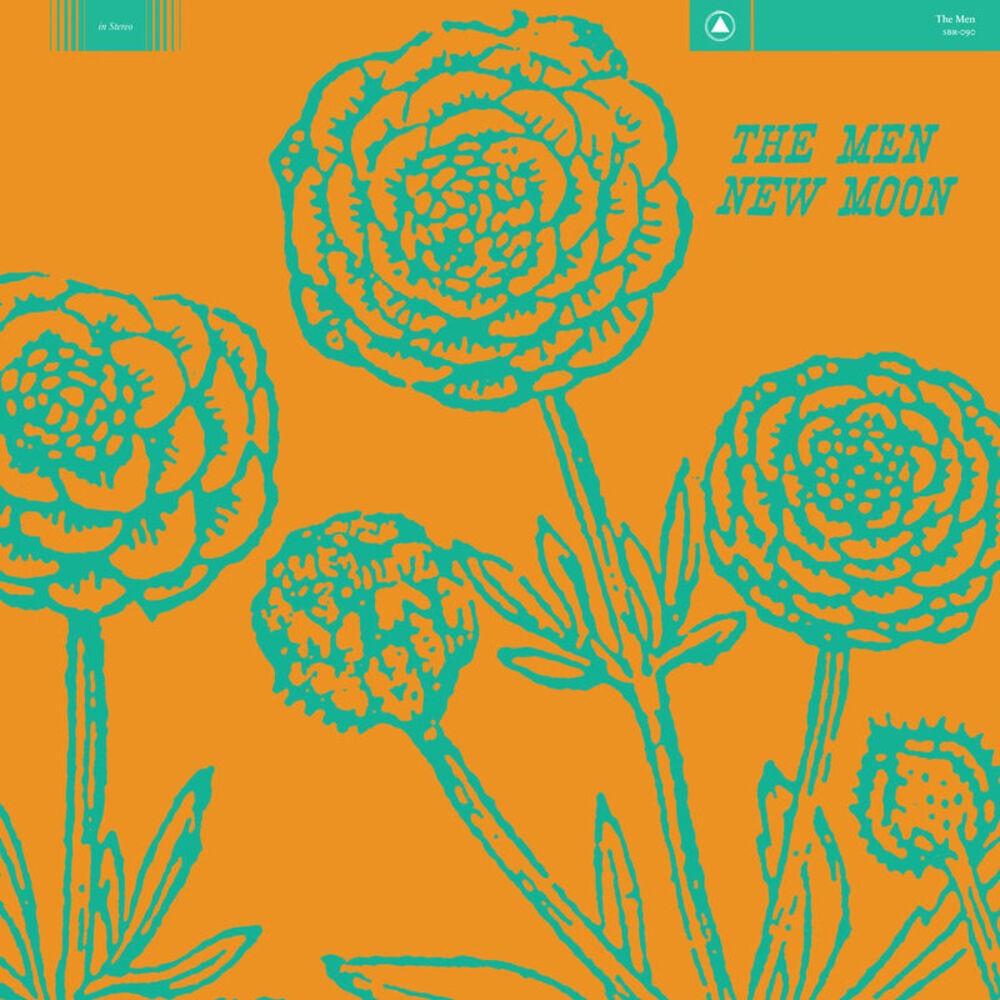 Picture of New Moon
