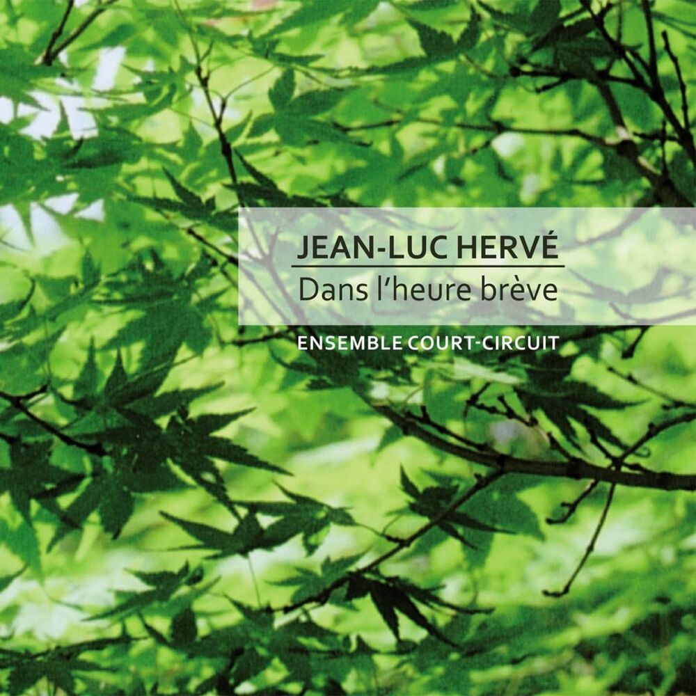 Picture of Dans l'heure brève de Jean-Luc Hervé