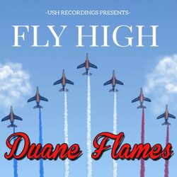 Cover of Fly High (Radio Edit)
