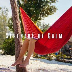 Cover of Serenade of Calm: Relaxation with Meditation Music