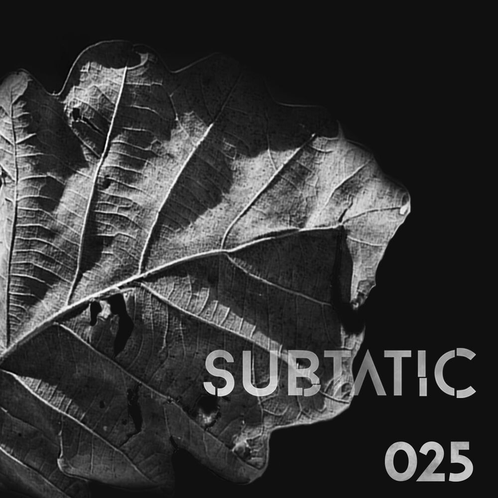 Picture of Subtatic 025