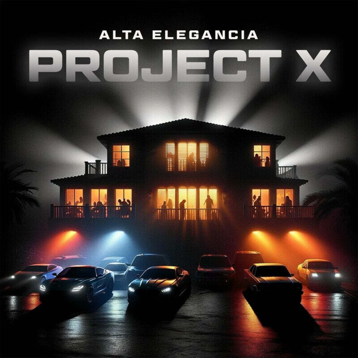 Album cover of PROJECT X