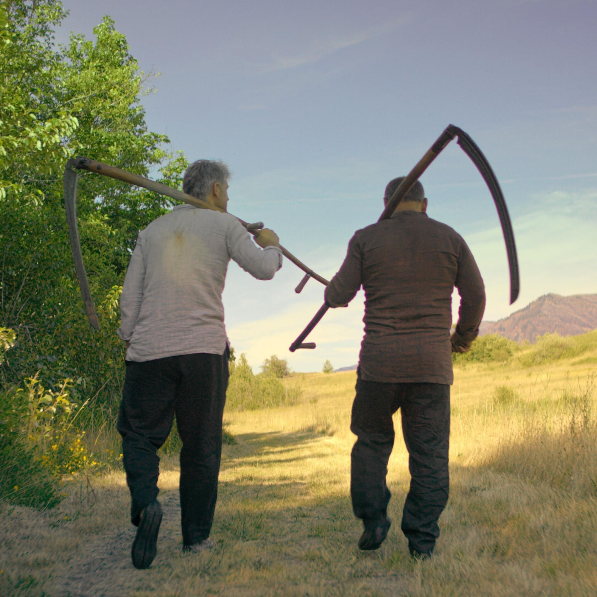 Album cover of Kosari