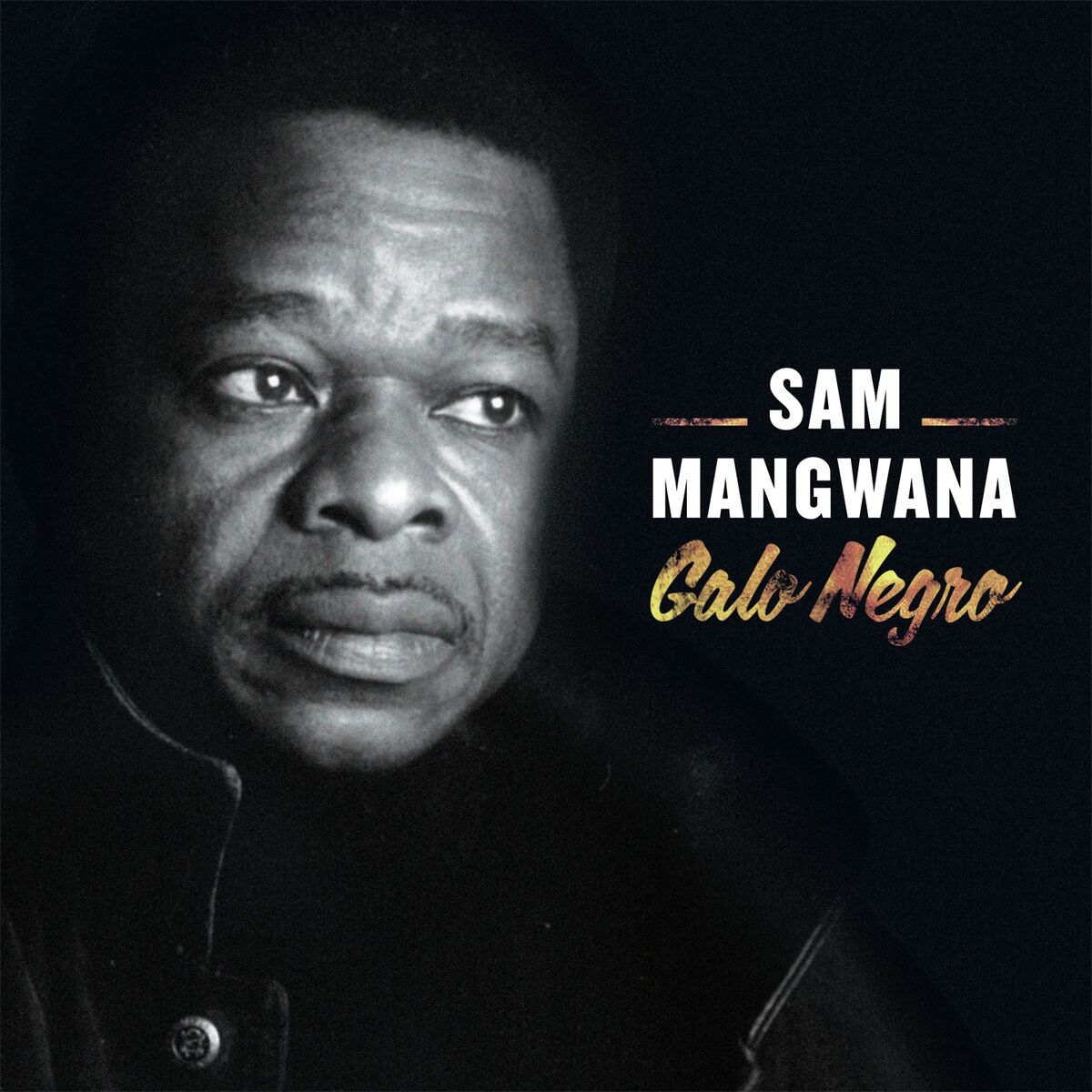 Album cover of Galo Negro