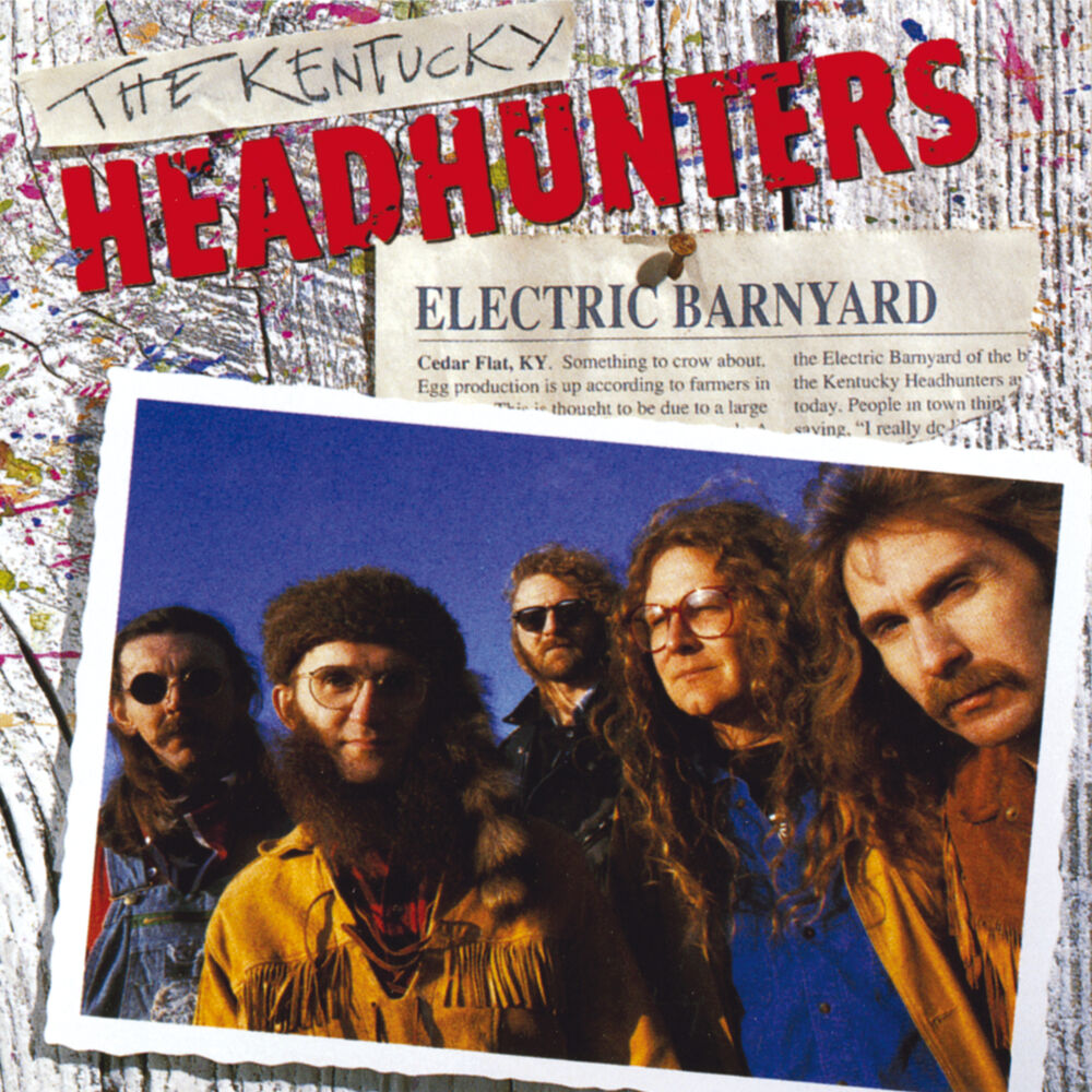 Picture of Electric Barnyard