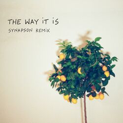 Cover of The Way It Is (Synapson Remix)