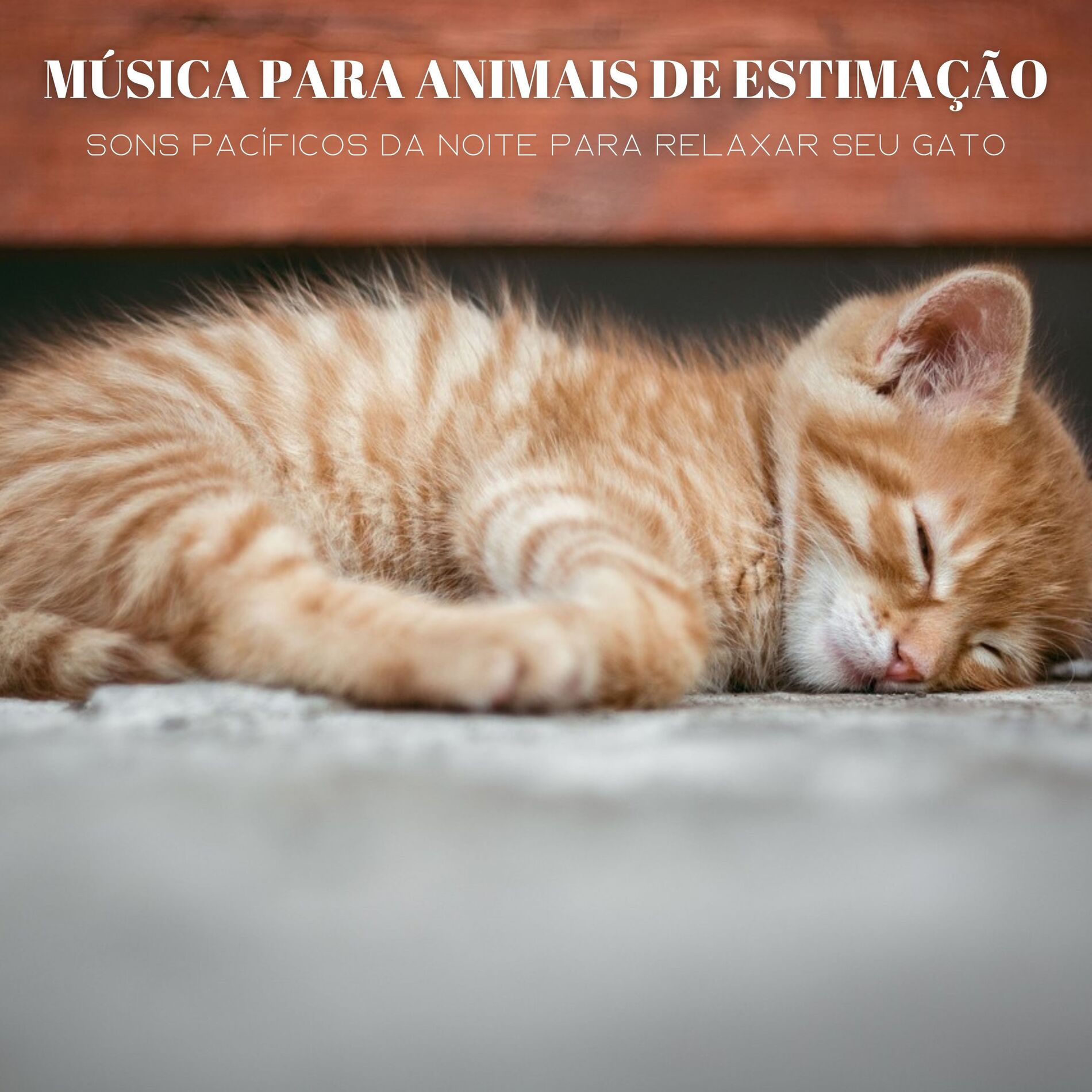 Album cover of Música Para Animais De Estimação: Sons Pacíficos Da Noite Para Relaxar Seu Gato
