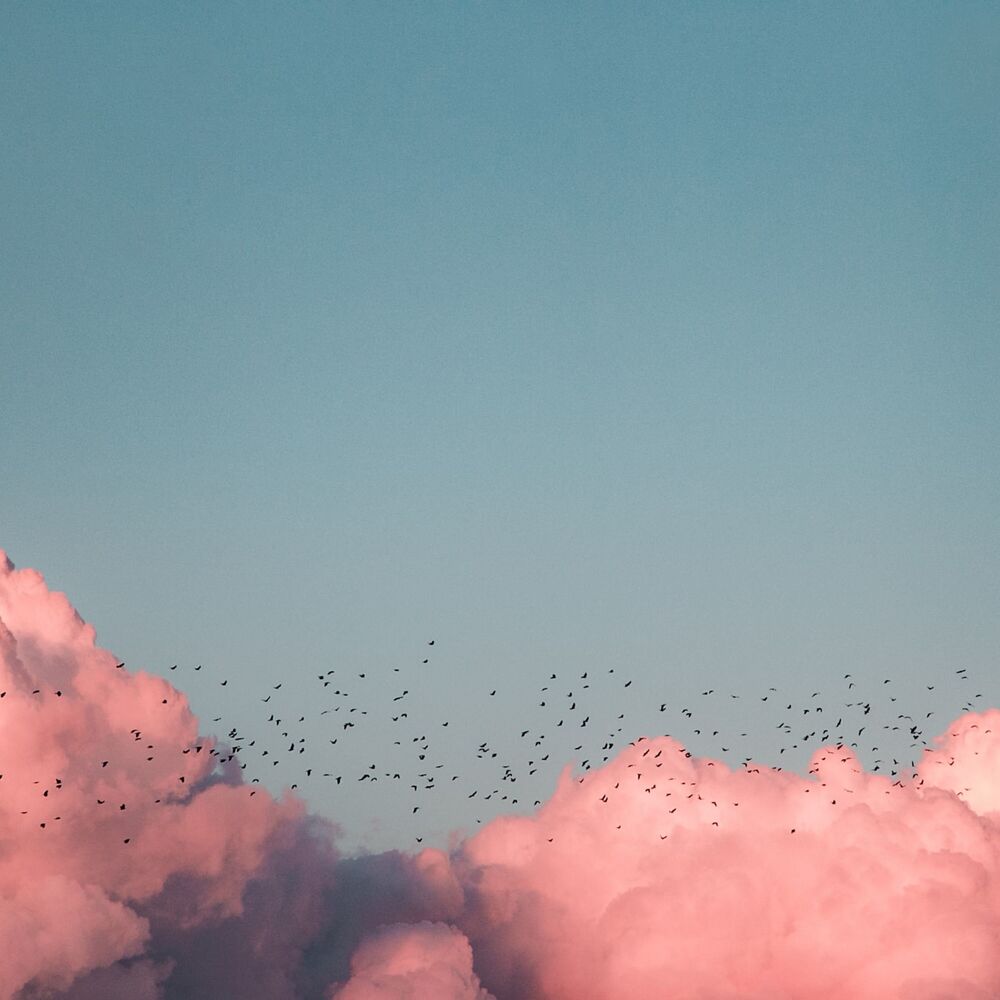 Picture of Calm Melodies for Total Relaxation