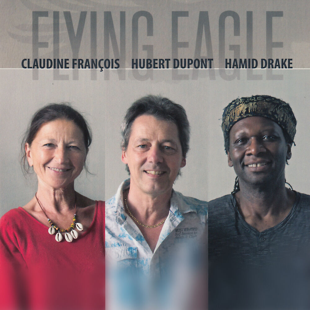 Picture of Flying Eagle