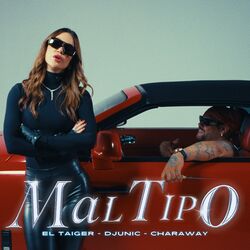 Cover of Mal Tipo