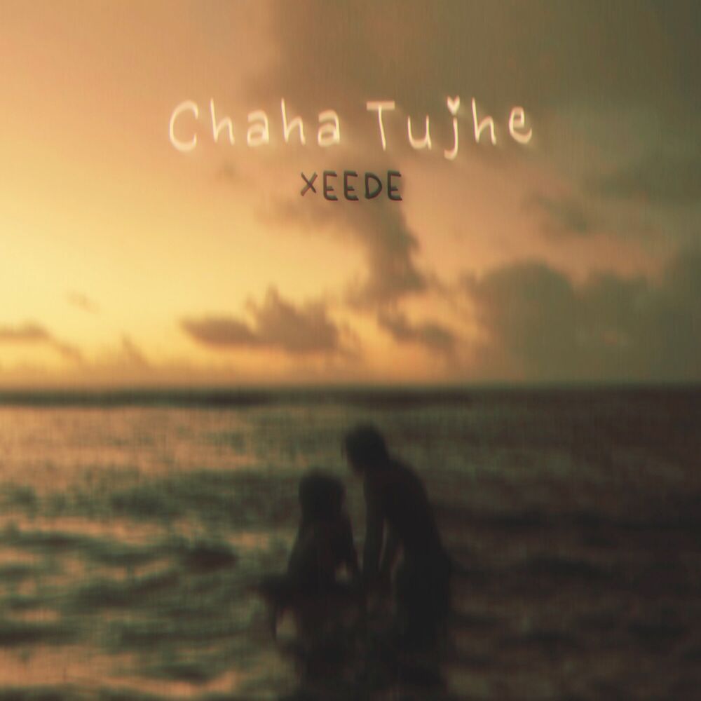 Picture of Chaha Tujhe