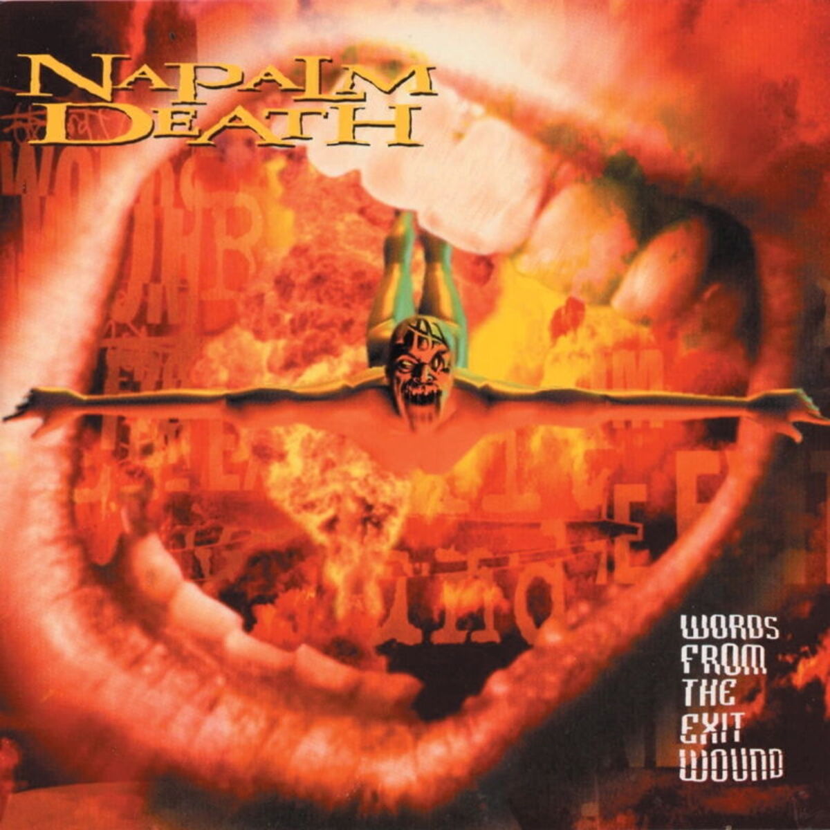 Album cover of Words From The Exit Wound