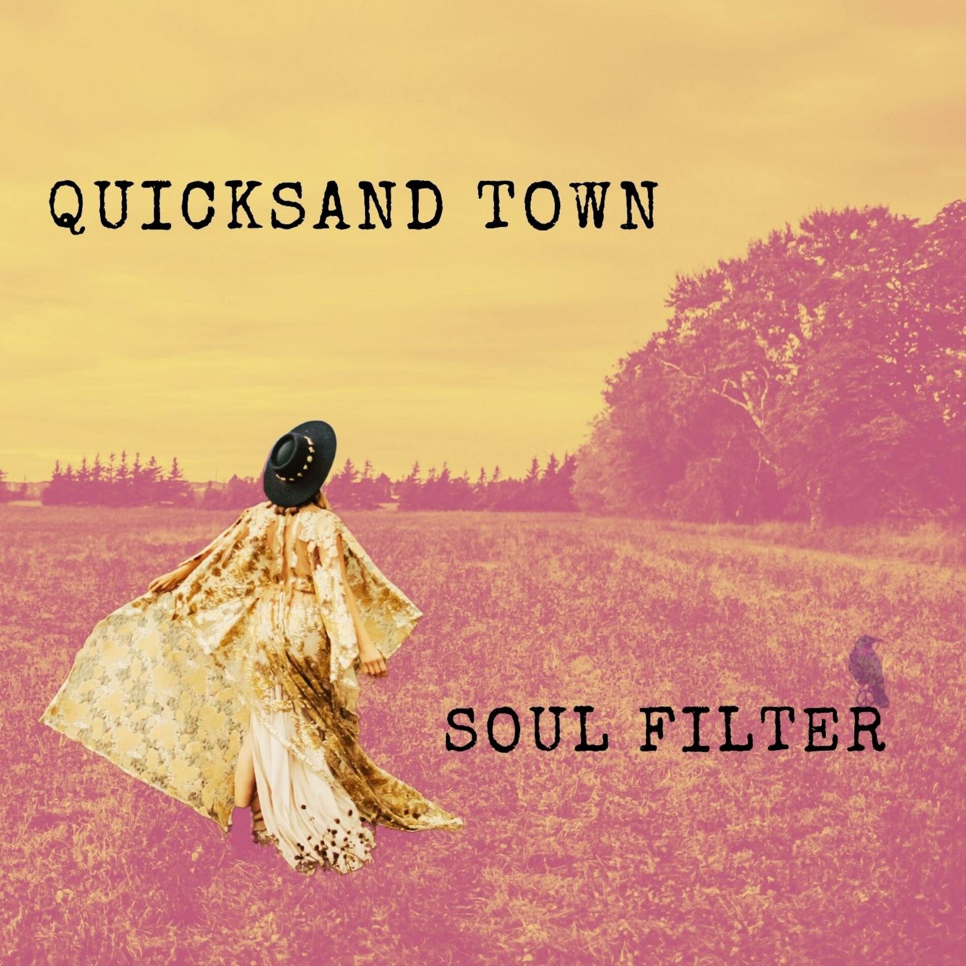Album cover of Quicksand Town